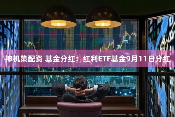 神机策配资 基金分红：红利ETF基金9月11日分红