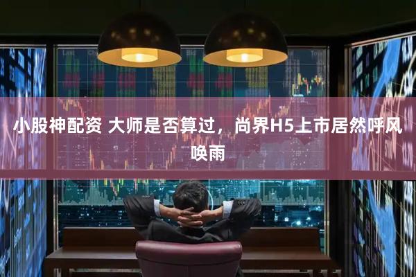 小股神配资 大师是否算过，尚界H5上市居然呼风唤雨