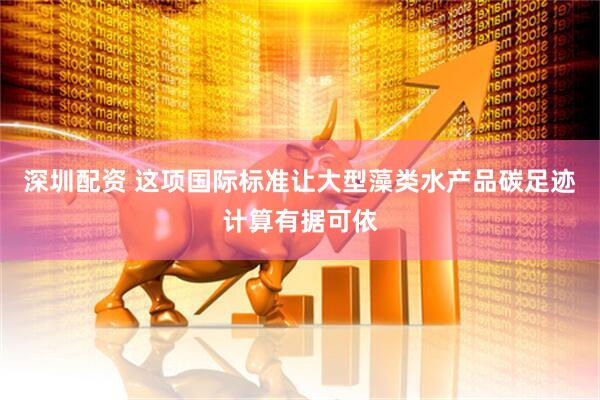 深圳配资 这项国际标准让大型藻类水产品碳足迹计算有据可依