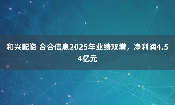 和兴配资 合合信息2025年业绩双增，净利润4.54亿元